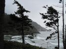 PICTURES/Oregon Coast Road - Heceta Lighthouse/t_Shoreline2.jpg